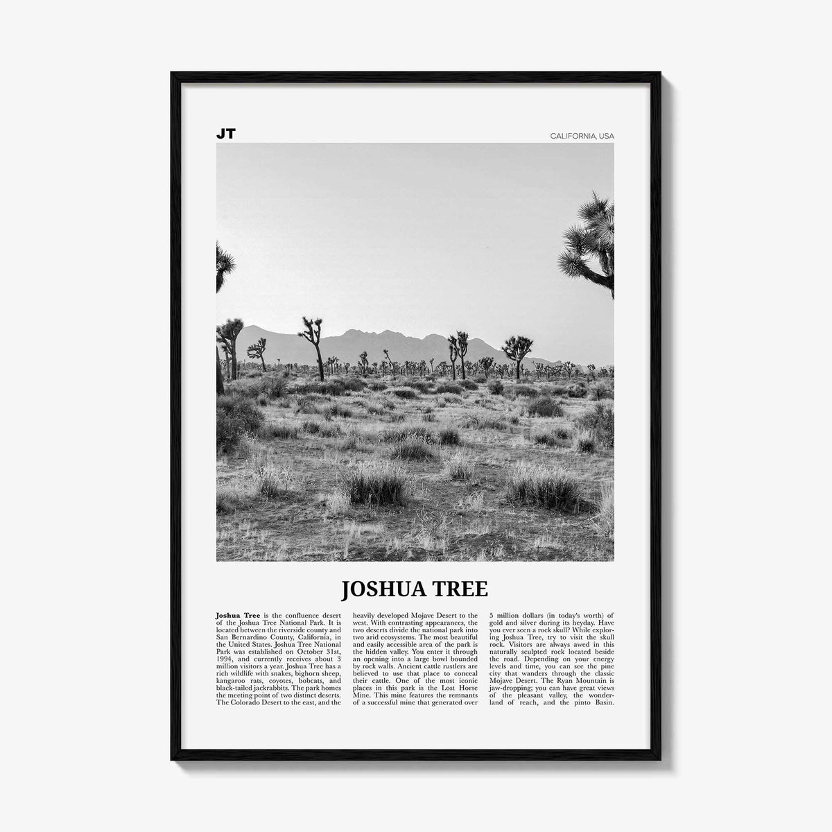 Joshua Tree National Park Print Black and White No 1, Joshua Tree Wall Art, Joshua Tree Poster, Joshua Tree Photo, California, USA
