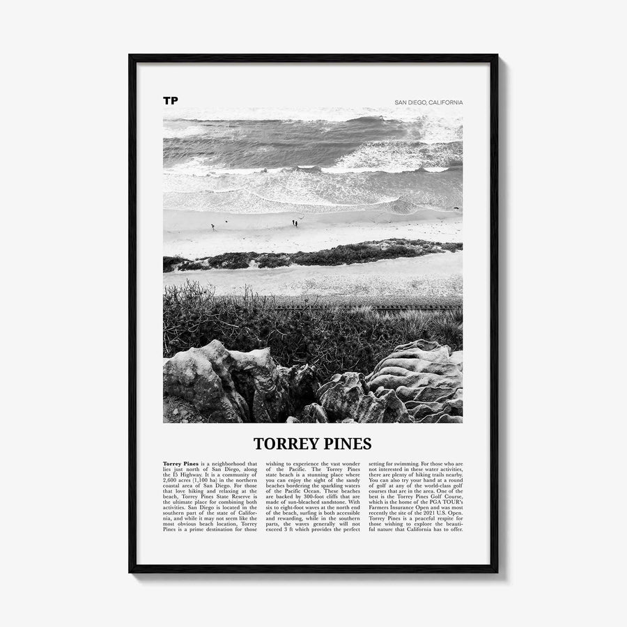 Torrey Pines Print Black and White No 2, Torrey Pines Wall Art, Torrey Pines Beach Poster, Torrey Pines Photo, San Diego, California